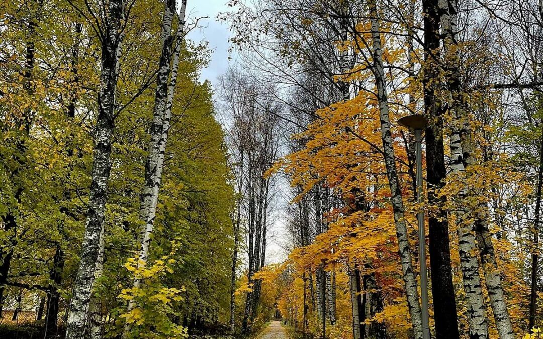 Hovioikeuden ratkaisu: kulkuoikeuden laajuus rasitesopimuksessa